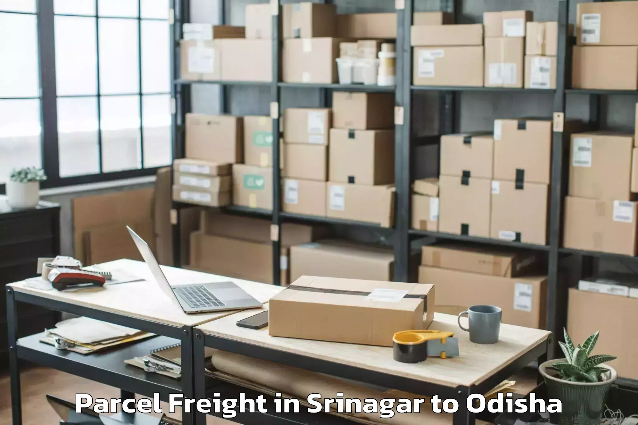 Discover Srinagar to Xim University Harirajpur Parcel Freight